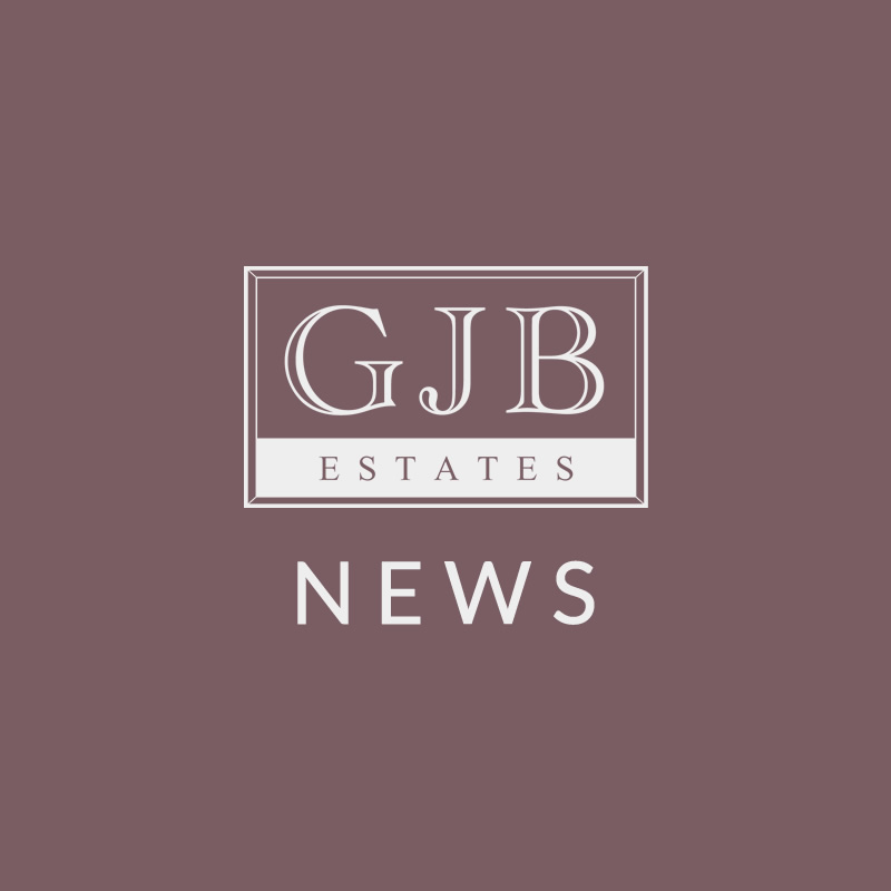 GJB News red